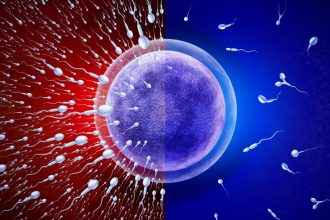 Erkek Doğum Kontrol Yöntemi: Sperm Engelleyici Jel 2028’de Piyasada Olabilir
