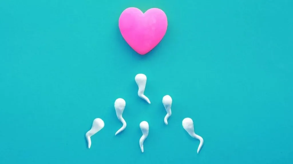 Erkek Doğum Kontrol Yöntemi: Sperm Engelleyici Jel 2028’de Piyasada Olabilir