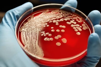 İnsan Derisinde Yaşayan Mantarlar Yeni Antibiyotiklerin Kaynağı Olabilir