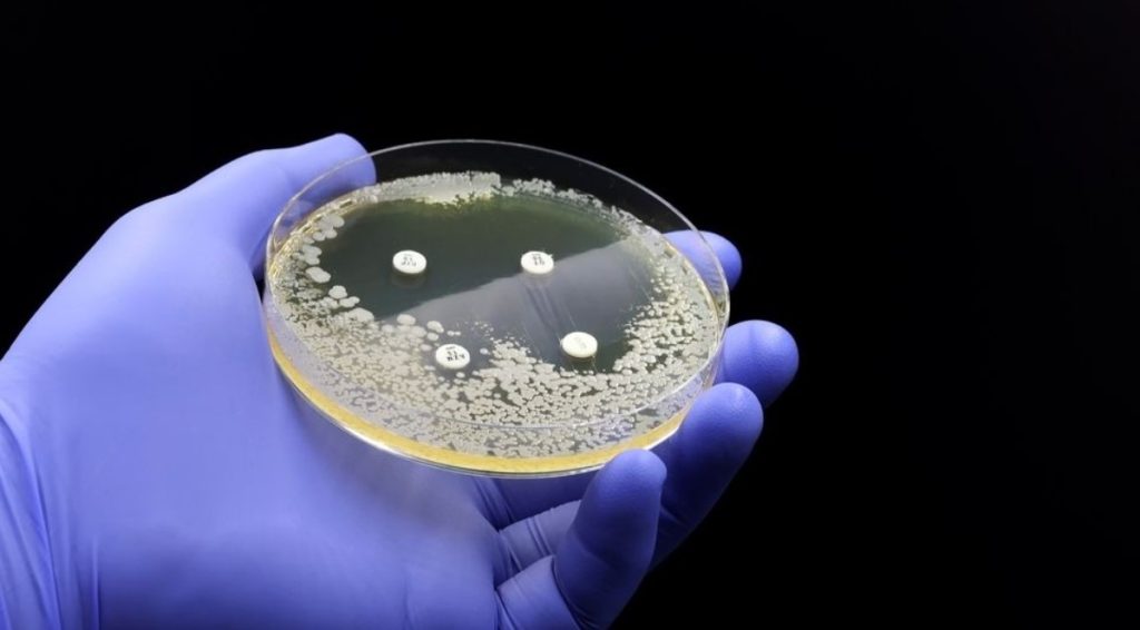 İnsan Derisinde Yaşayan Mantarlar Yeni Antibiyotiklerin Kaynağı Olabilir