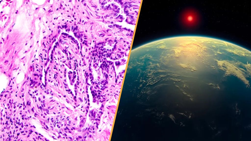Uzak Bir Gezegenin Atmosferinde Yaşam İzleri mi Bulundu? Bilim Dünyası Heyecanlı