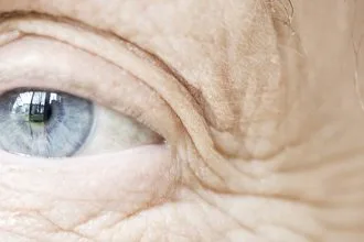 Bilim İnsanları, Cildin Neden Yaşlandıkça Kırıştığını Nihayet Açıklığa Kavuşturdu