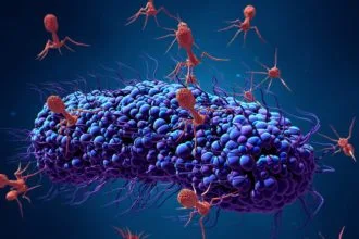 Kadim Düşmanlık, Yeni Umut: Virüsler Süper Bakterilere Karşı Silahımız Olabilir mi?