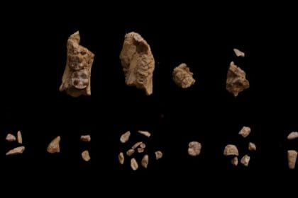 3,4 Milyon Yıllık Gizem Çözüldü: Etiyopya’da Bulunan Tarihsel Ayak Kemikleri Nihayet Atalarımızla Eşleştirildi