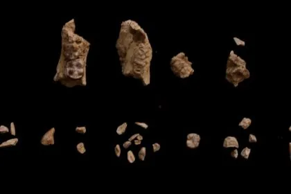 3,4 Milyon Yıllık Gizem Çözüldü: Etiyopya’da Bulunan Tarihsel Ayak Kemikleri Nihayet Atalarımızla Eşleştirildi