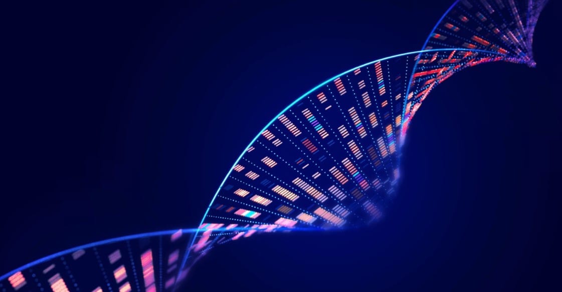 12.000 Yıllık Kemiklerden DNA Çıkarmanın Bilimi: Kaybolmuş Türleri ve Tarihin Karanlık Sırlarını Aydınlatan Teknoloji
