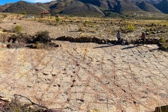 18.000 Dinozor İzinin Keşfi: Bolivya’nın Kretase Sahilinde Rekor Kıran Fosil Alanı