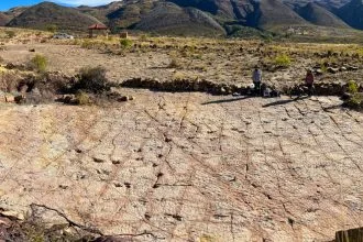 18.000 Dinozor İzinin Keşfi: Bolivya’nın Kretase Sahilinde Rekor Kıran Fosil Alanı