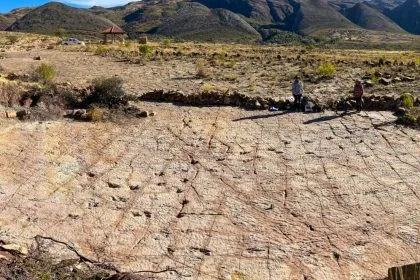 18.000 Dinozor İzinin Keşfi: Bolivya’nın Kretase Sahilinde Rekor Kıran Fosil Alanı