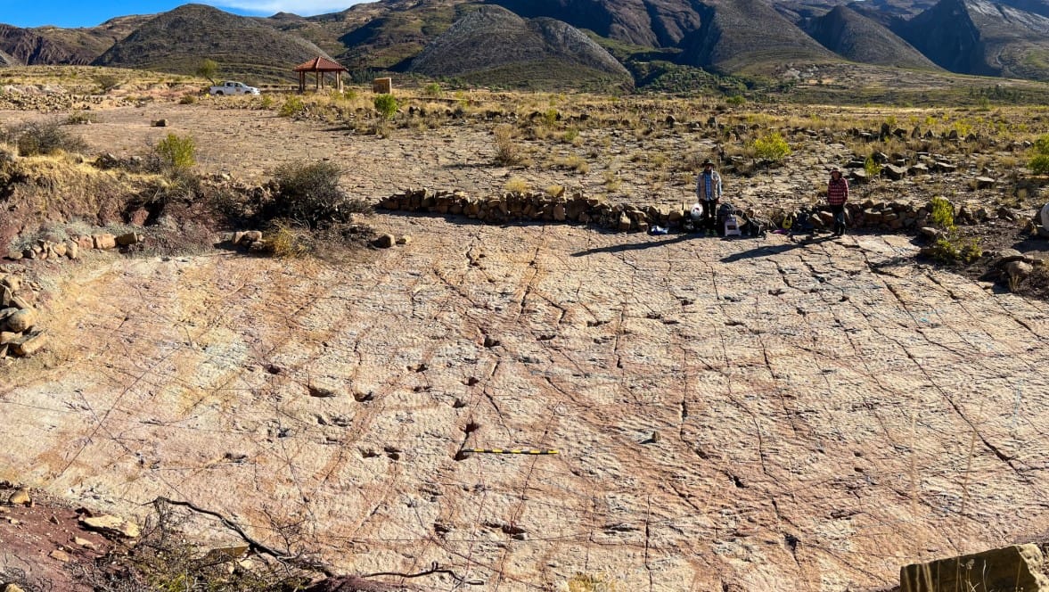 18.000 Dinozor İzinin Keşfi: Bolivya’nın Kretase Sahilinde Rekor Kıran Fosil Alanı