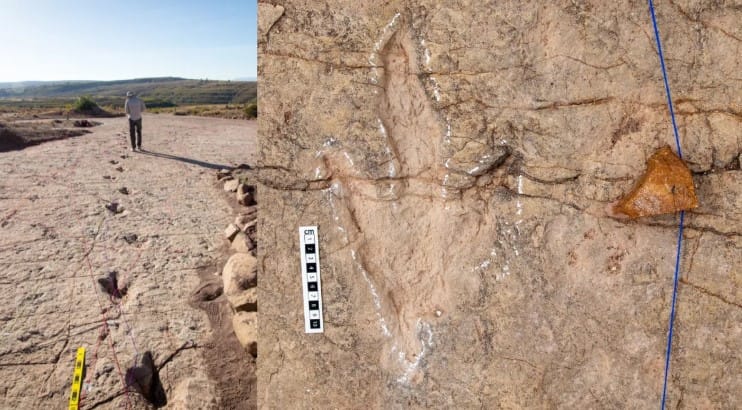 18.000 Dinozor İzinin Keşfi: Bolivya’nın Kretase Sahilinde Rekor Kıran Fosil Alanı