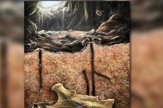 Antik Arılar Kemiklerin İçine Yuva Yapmış: Fosiller, Daha Önce Hiç Görülmemiş Bir Davranışı Ortaya Koyuyor