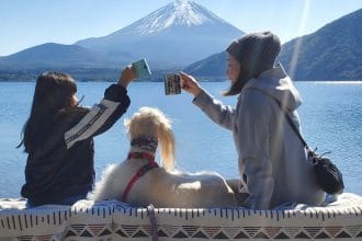 Gençlerin Ruh Sağlığını Güçlendiren Gizli Bağ: Evdeki Köpeklerin Mikrobiyom Üzerindeki Etkisi