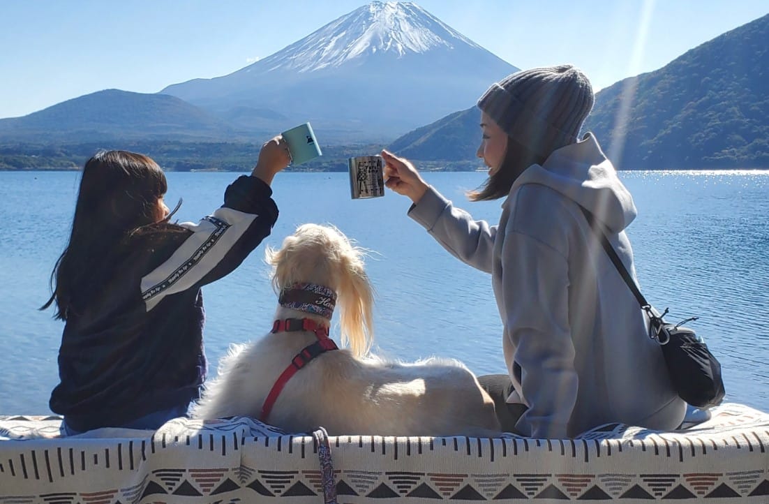 Gençlerin Ruh Sağlığını Güçlendiren Gizli Bağ: Evdeki Köpeklerin Mikrobiyom Üzerindeki Etkisi