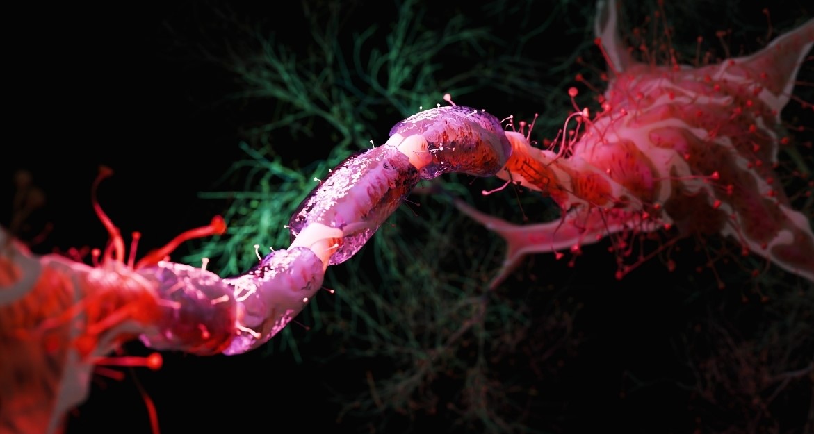 Kalorileri Yüzde 30 Azaltmak, Beyni Yaşlanmaya Karşı Koruyabilir