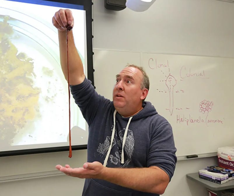 Onlarca Yıl Bir Laboratuvarda Sessizce Yaşadı: Bu Solucanın Gerçek Yaşı Bilimi Şaşırttı